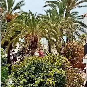  Apartament Old Town Hiszpania